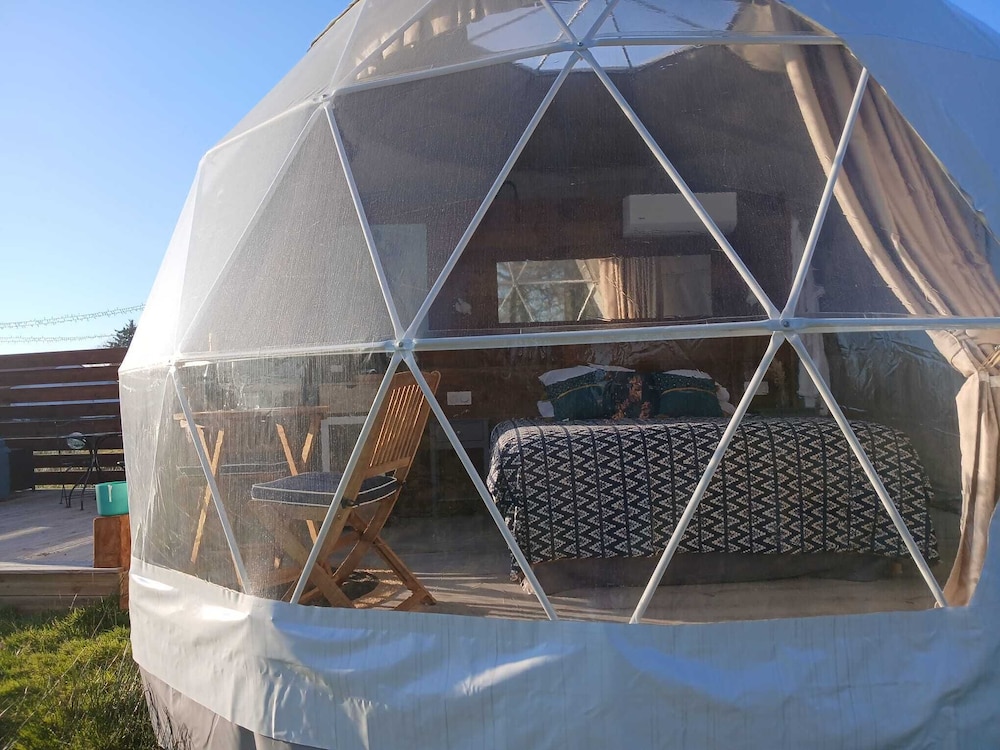 Berry Dome