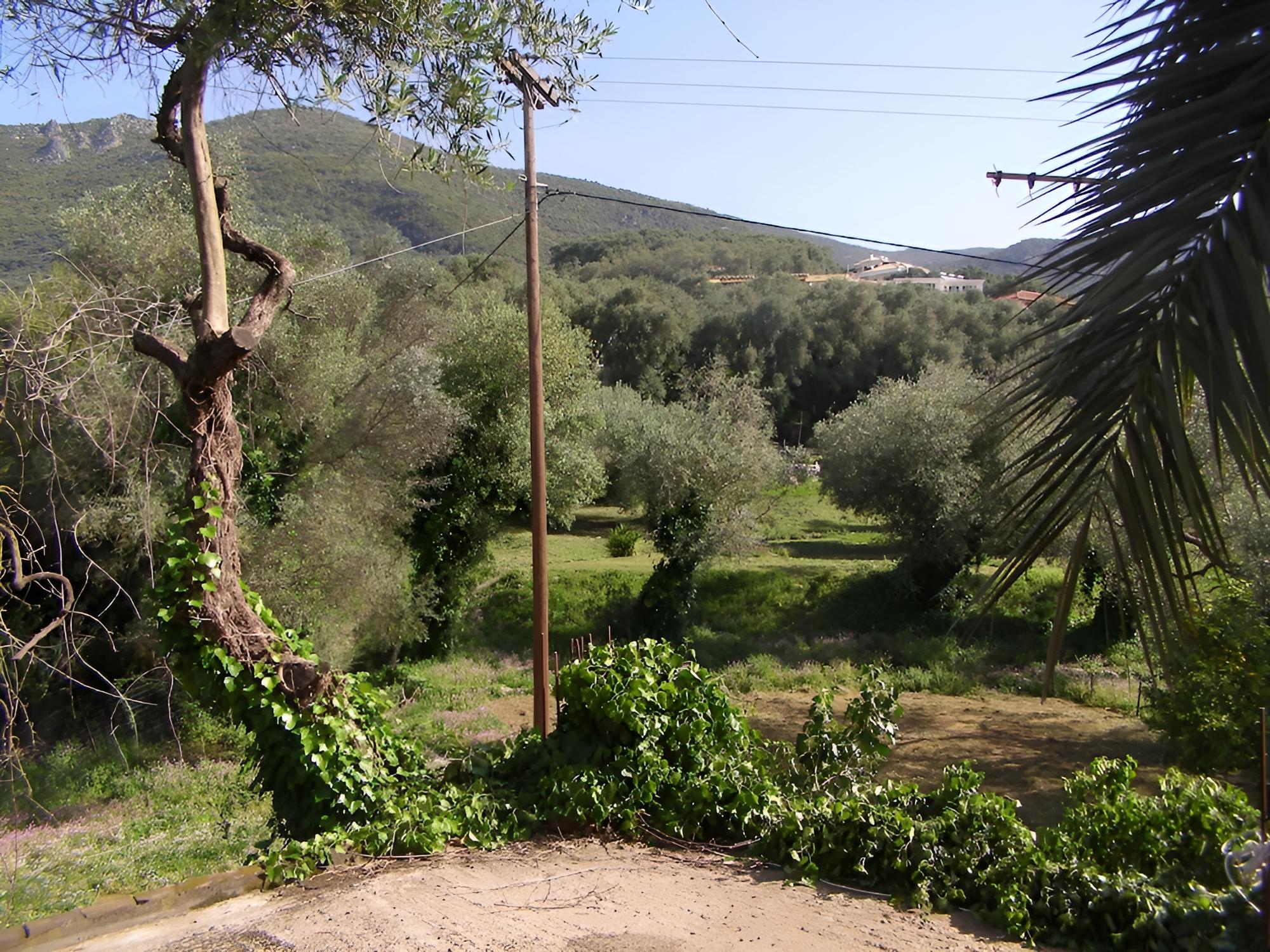 Milos Studios