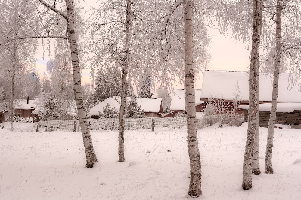Cottage complex Ozerny Bereg