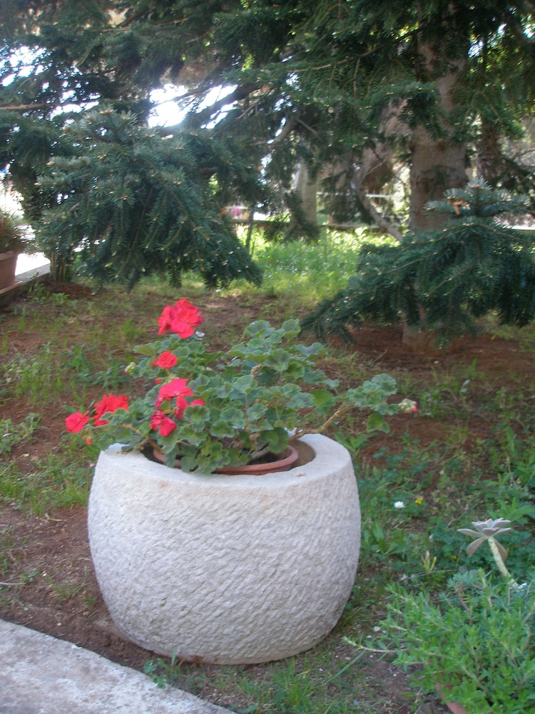 Photo 28