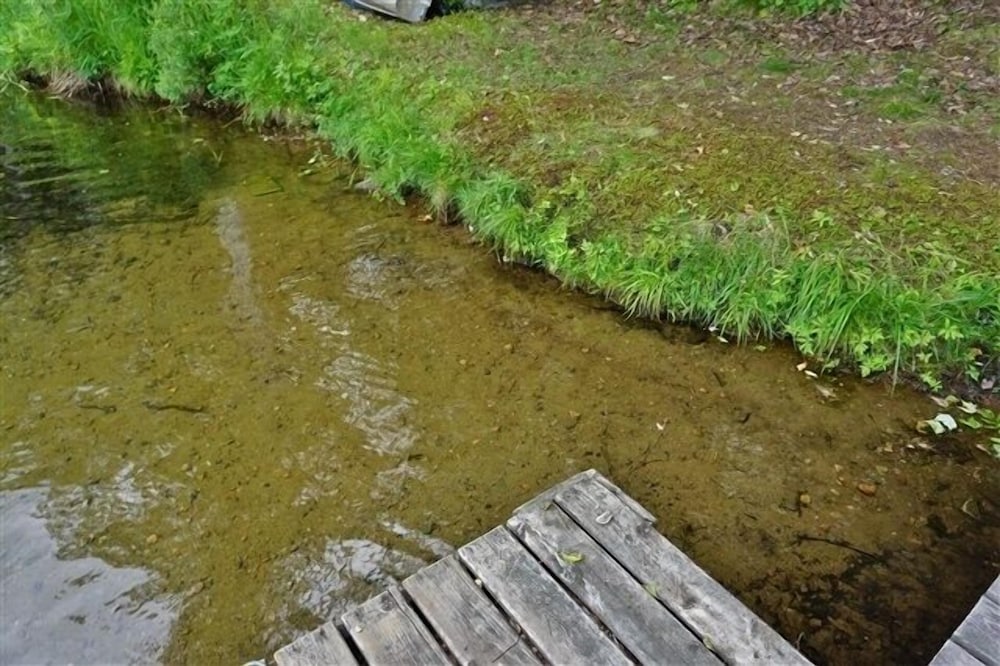 289 Siddon Lake 3 Bedroom Cottage