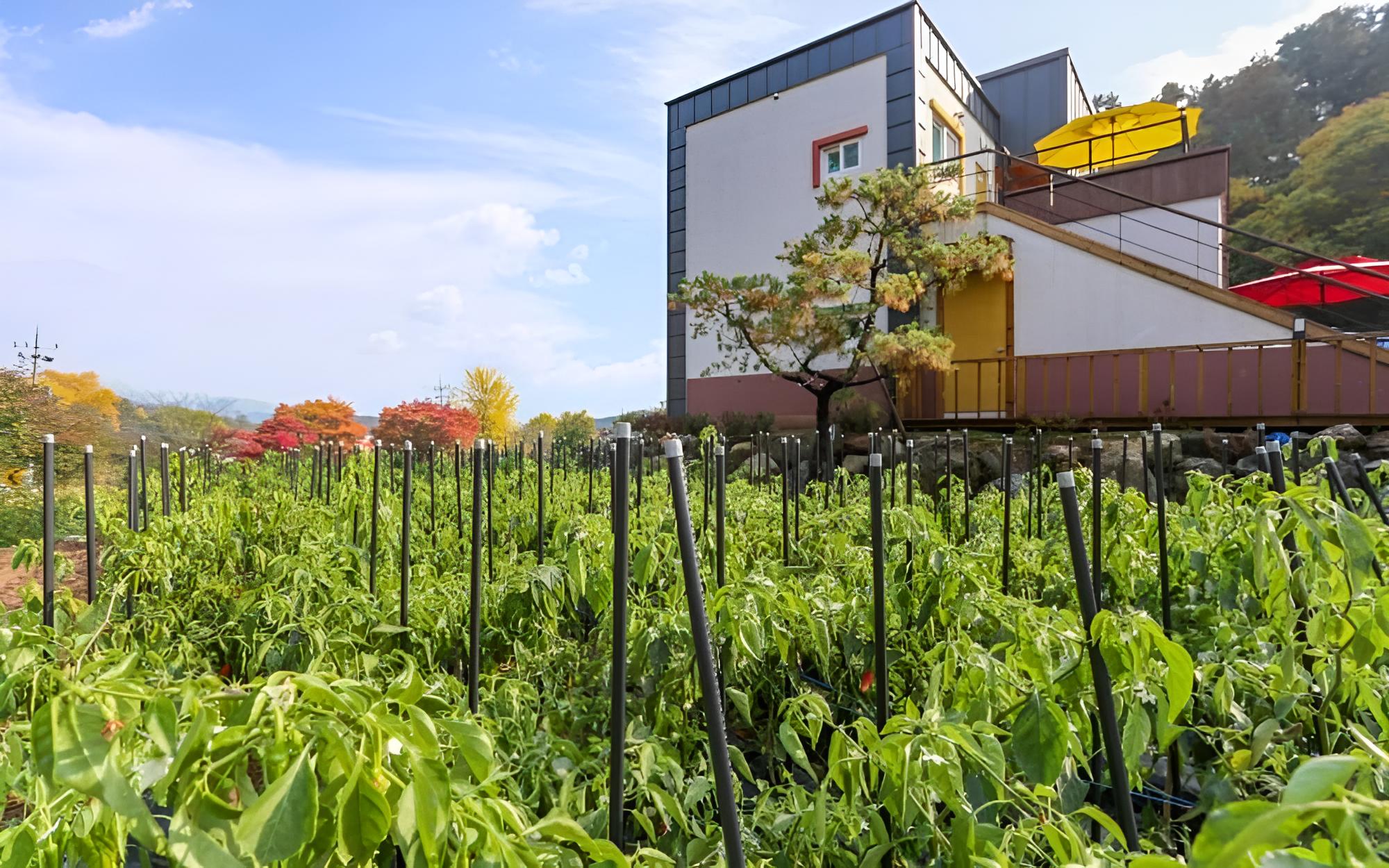 Namyangju Haemaru Pension view 4