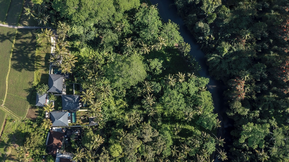 Capung Asri Ubud view 4