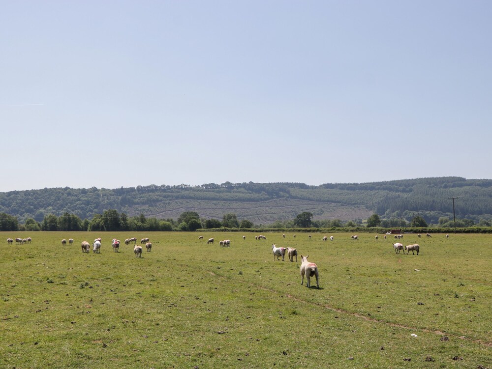 Lower Court Byre