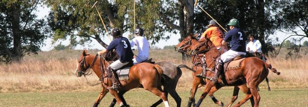 Estancia La Rosita