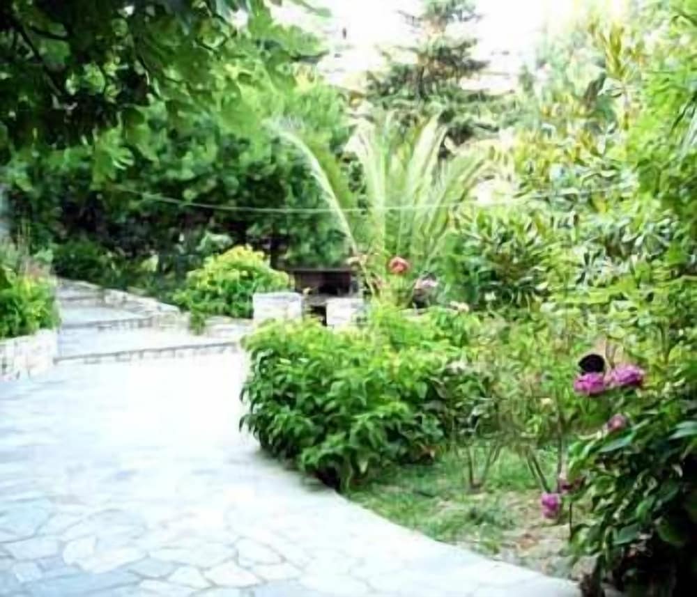 Photo 53