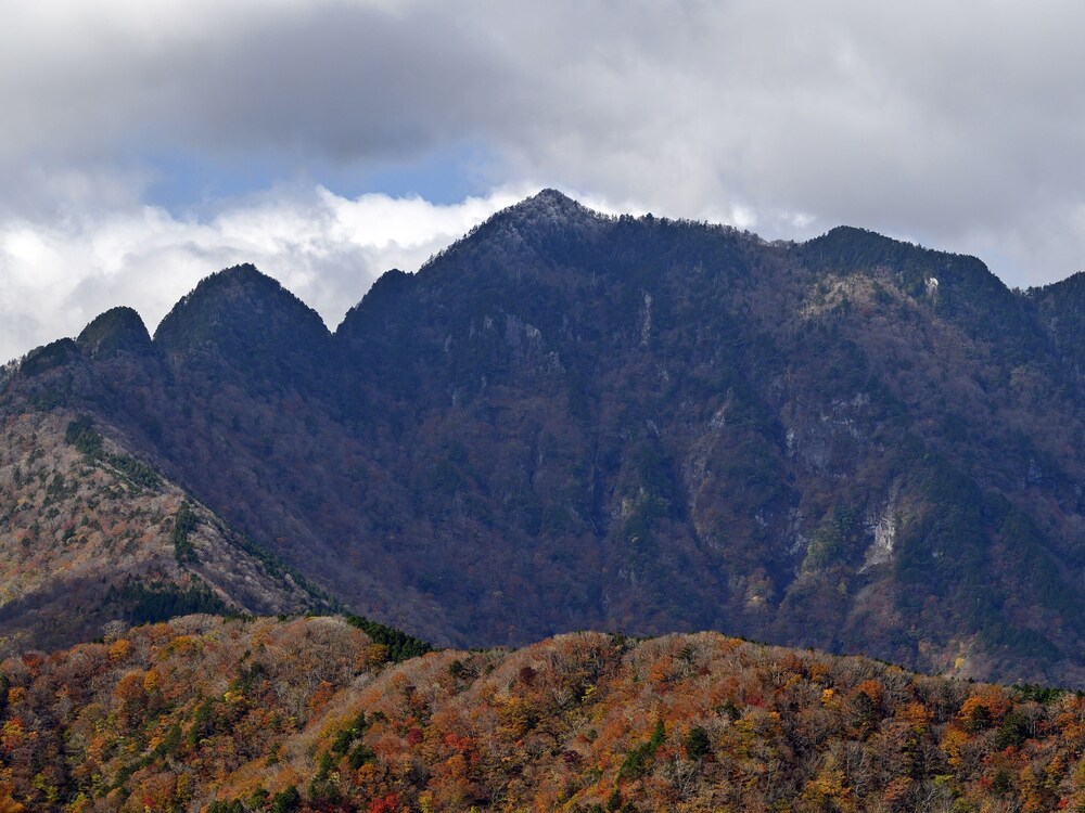 Photo 46