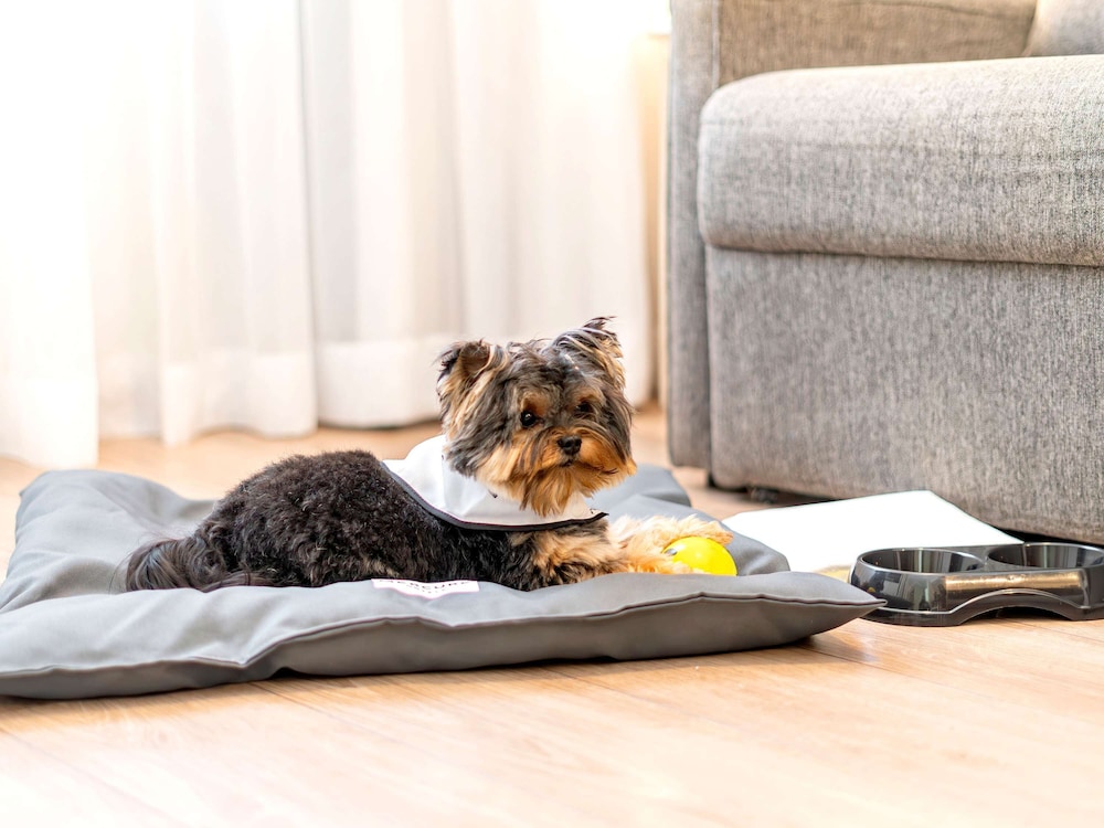 Gli Dei Gemelli 2 photo 4