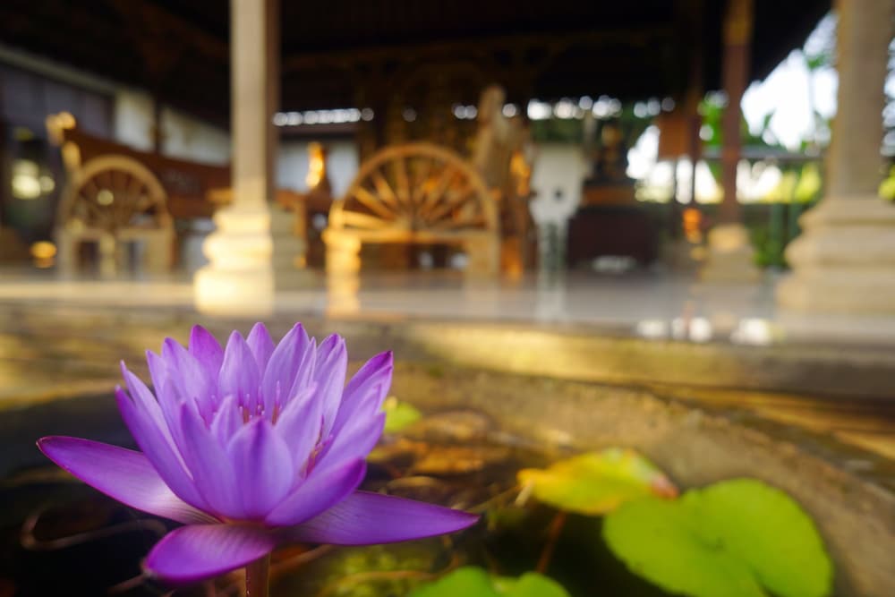 Villa Annapurna Bali view 2