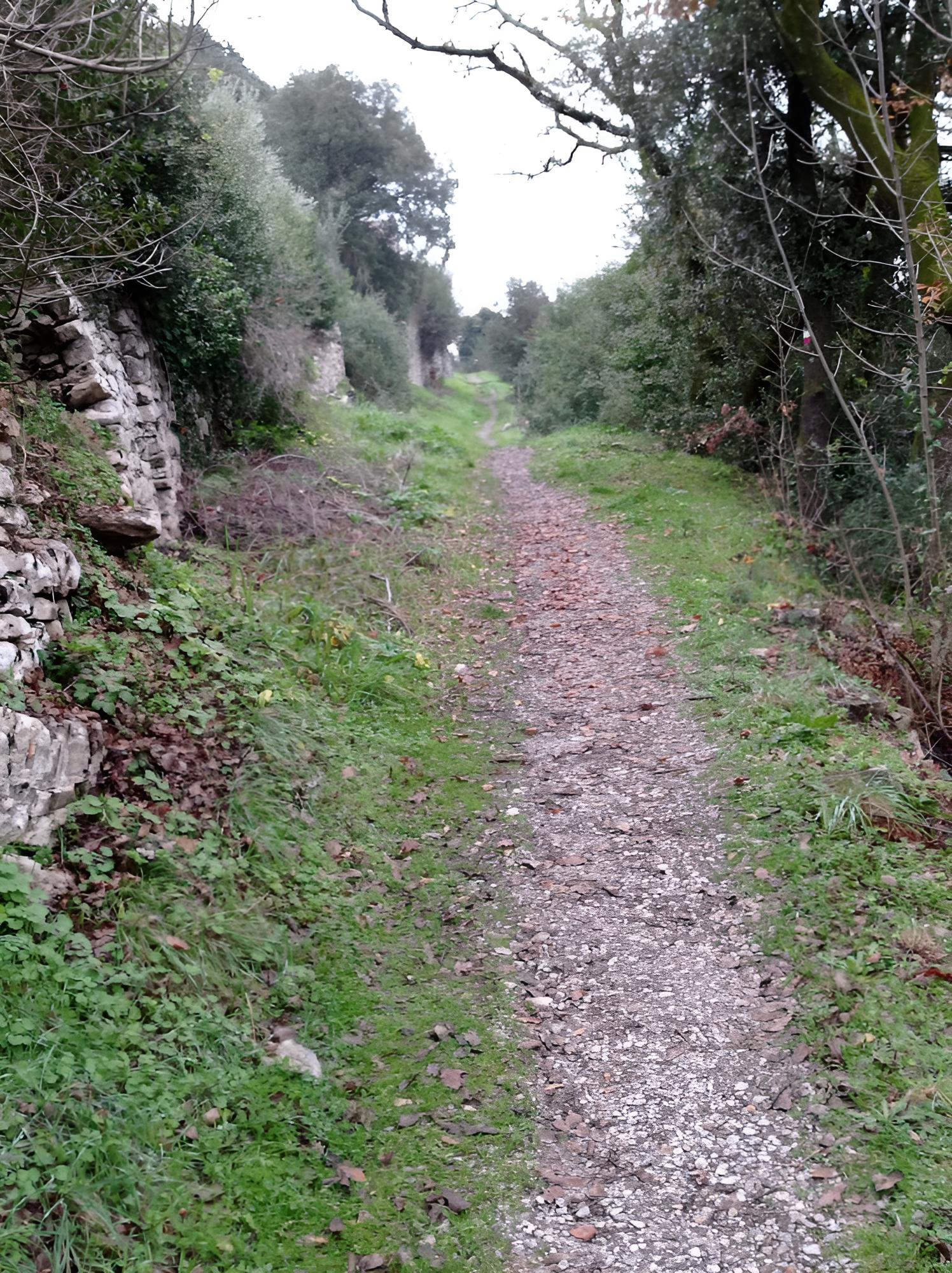 Photo 25