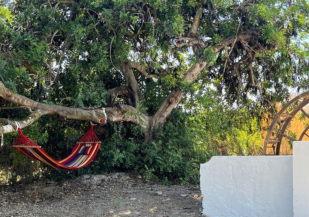 Villa Lobos Tavira