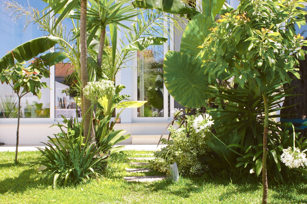 Vila Vale Guest House surf e yoga