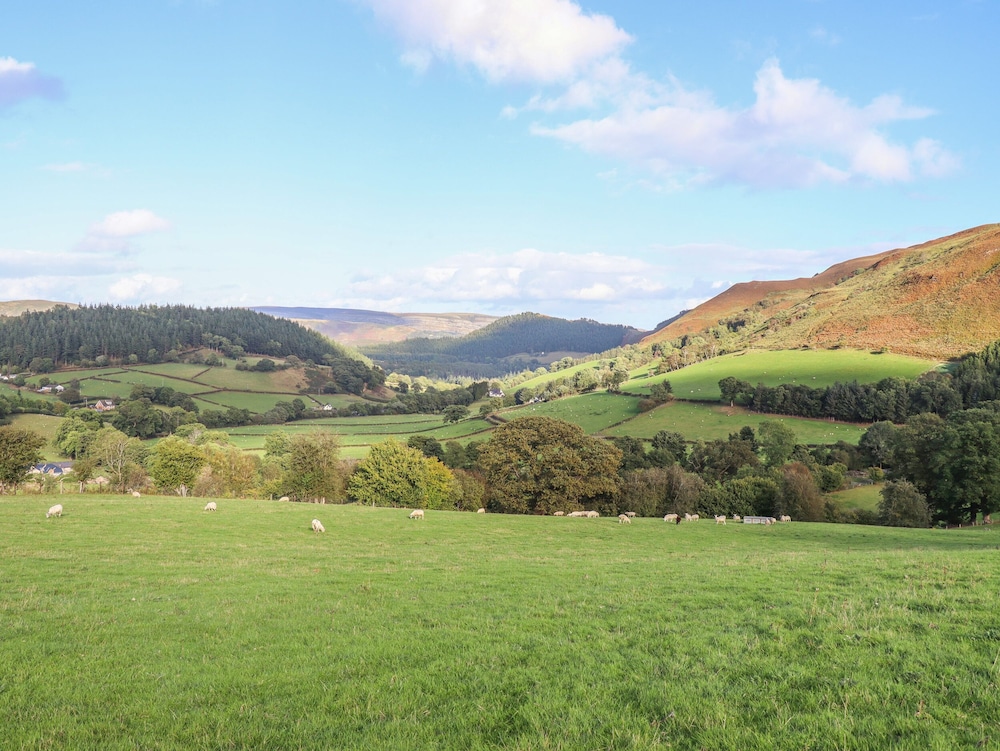 Tyn Llwyn Barn