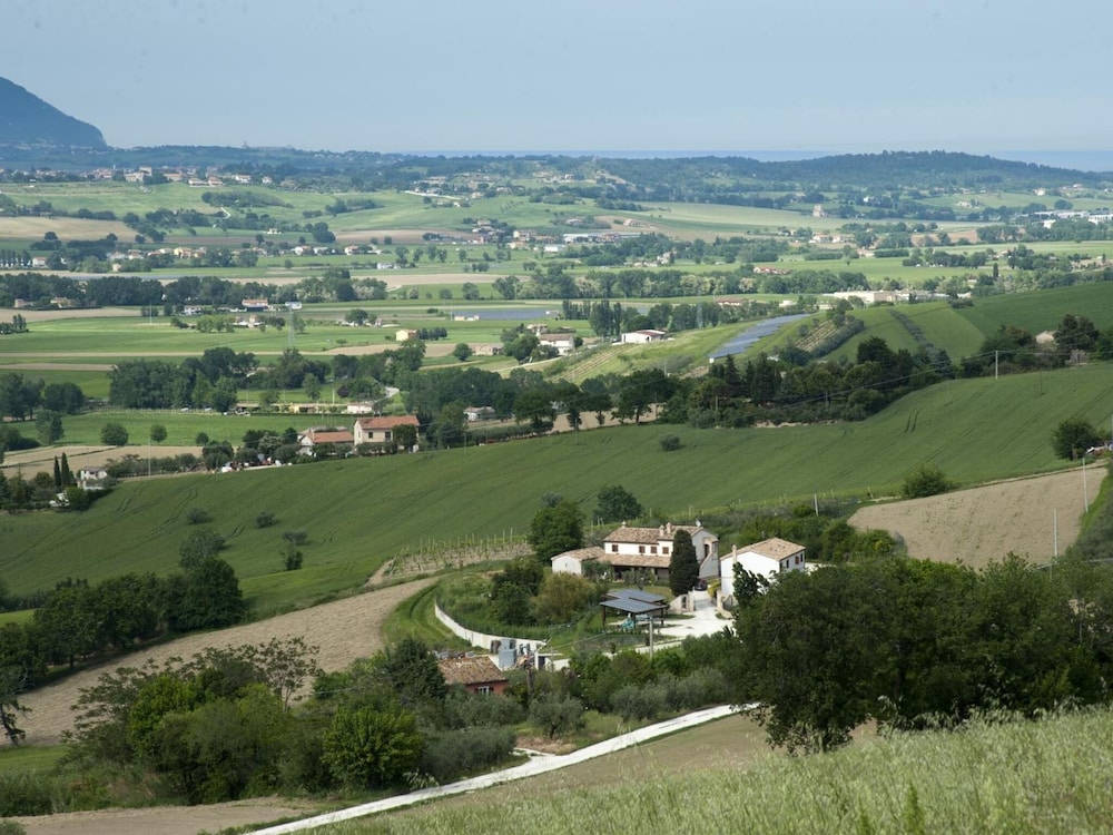 Photo 49