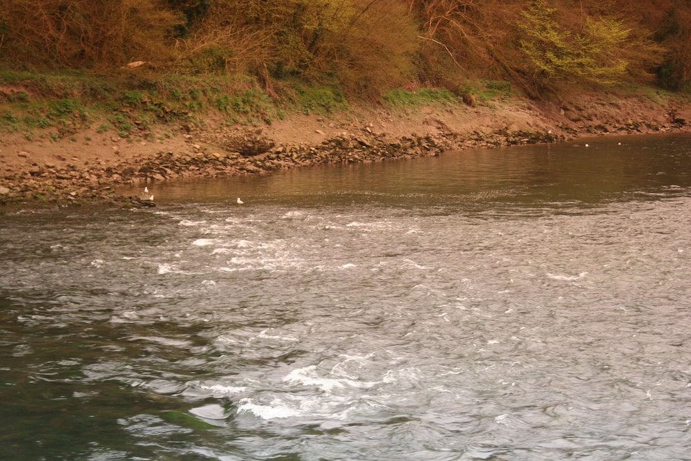 Wye Valley Hotel