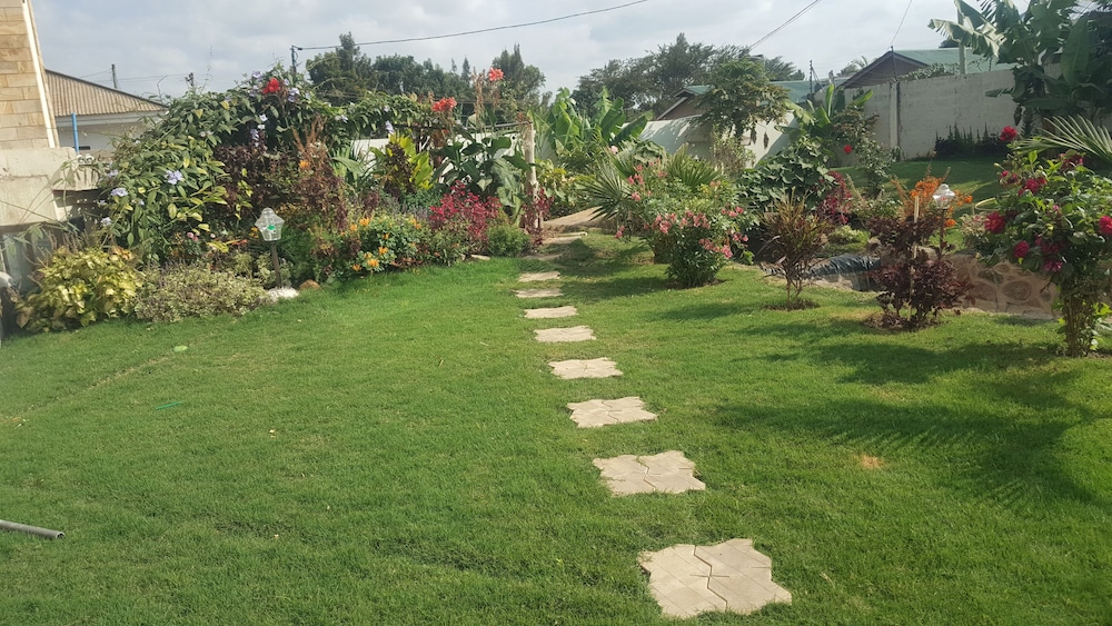 Photo 16