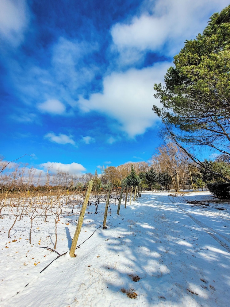 Finca La Saucina