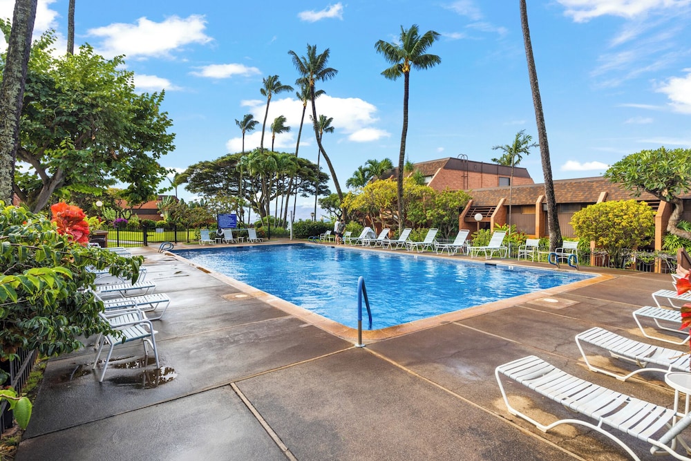 Kuleana Club - 402