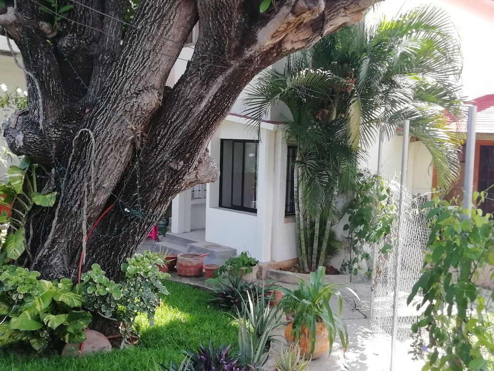 LAS SABILAS view 4