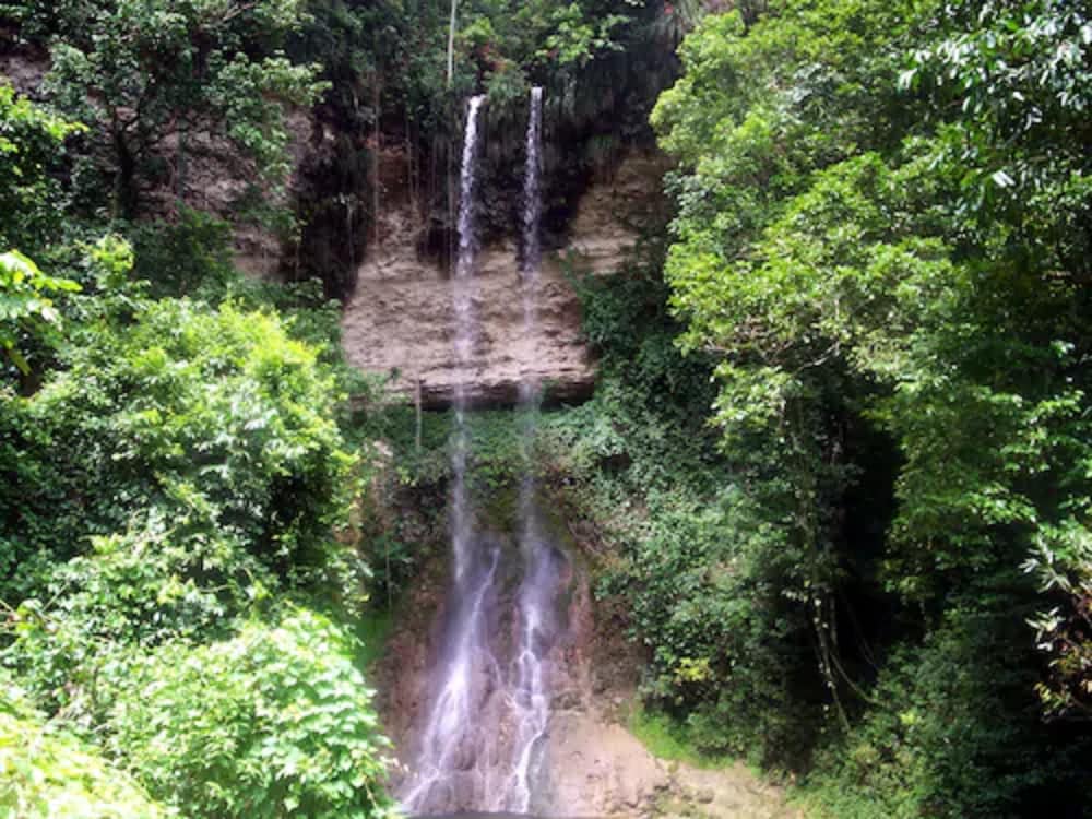 Hacienda El Jibarito