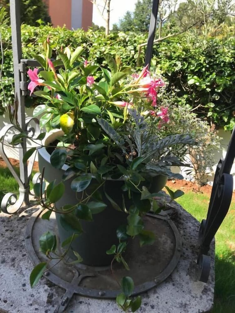 B&B Sea Joy Rovinj