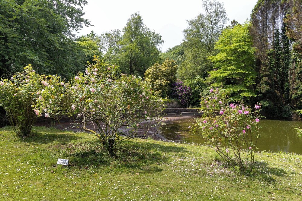 The Old Carriage Court