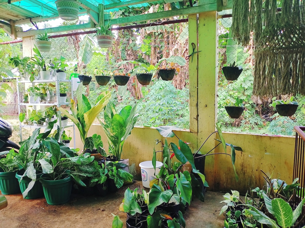 Amwani Garden - Image 5