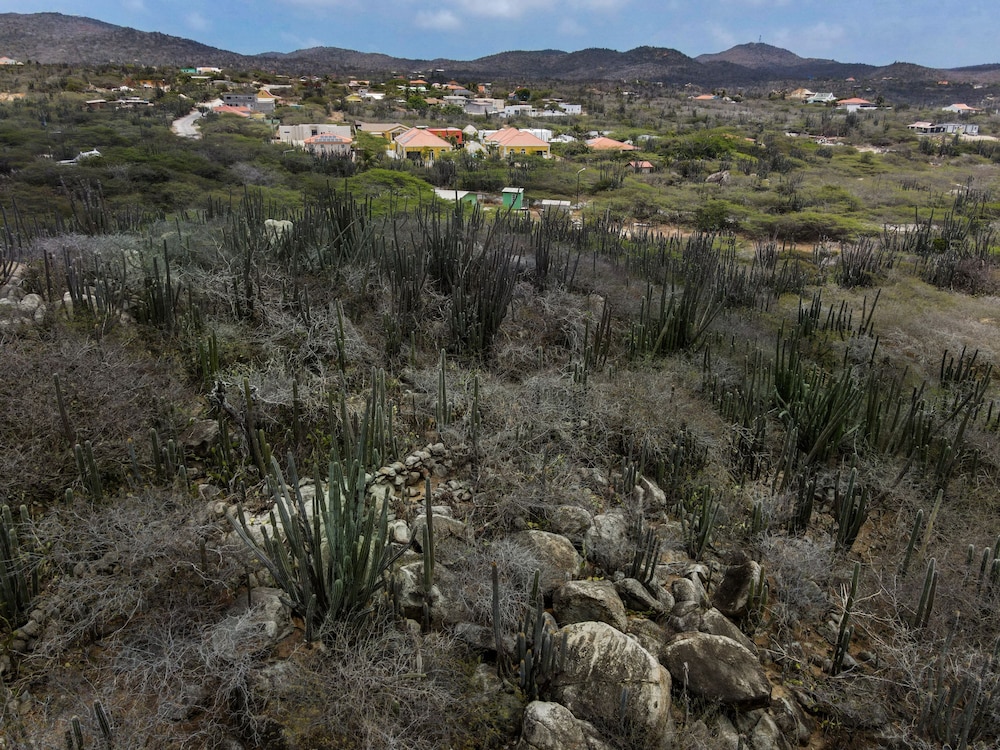 Picaron Villas in Santa Cruz
