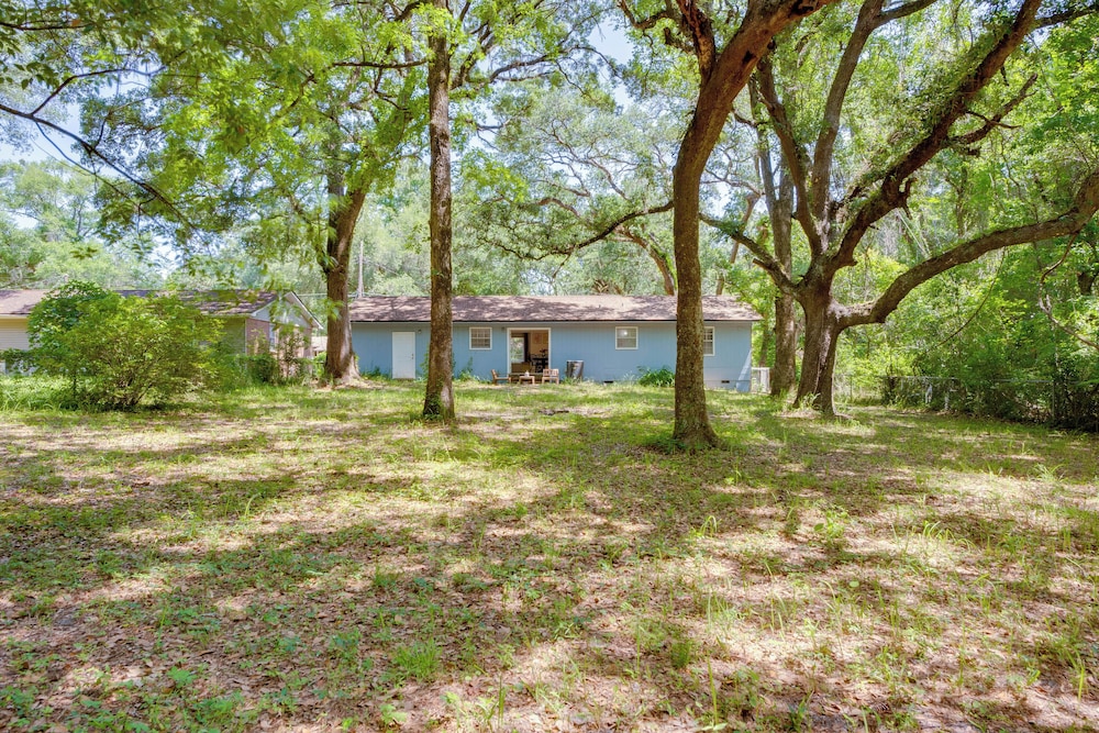 Walk to Lake Munson: Tree-filled Tallahassee Gem!