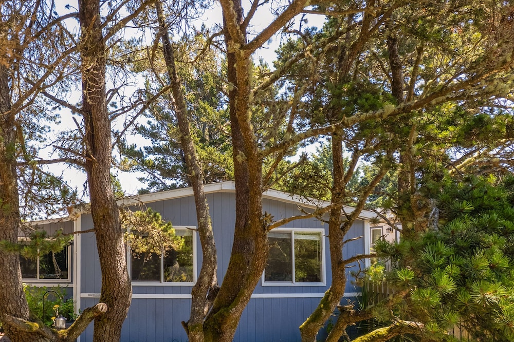 Enjoy Coastal Comfort in This Relaxing Retreat