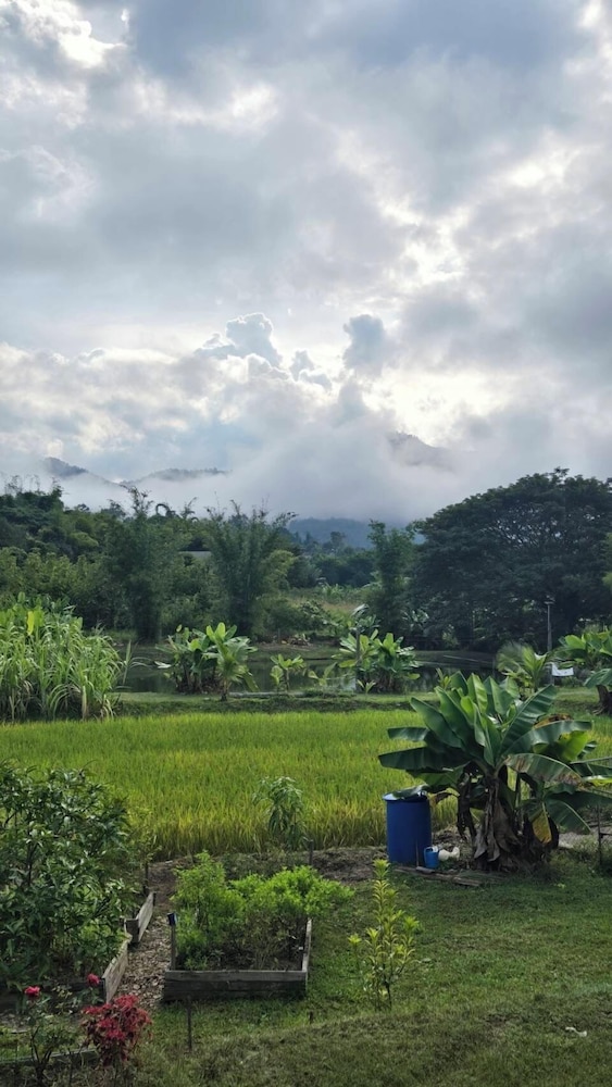 Zuu Tee Organic Farm & Roastery