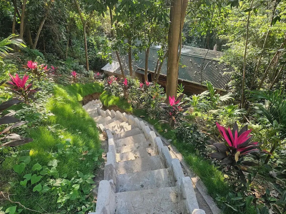 La Casa del Mono