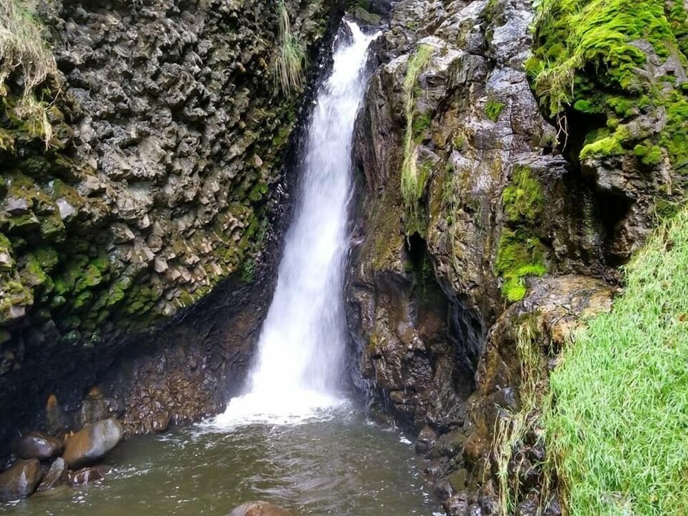 Photo 26