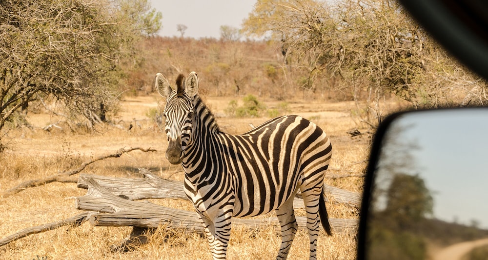 Elandela Private Game Reserve & Luxury Lodge