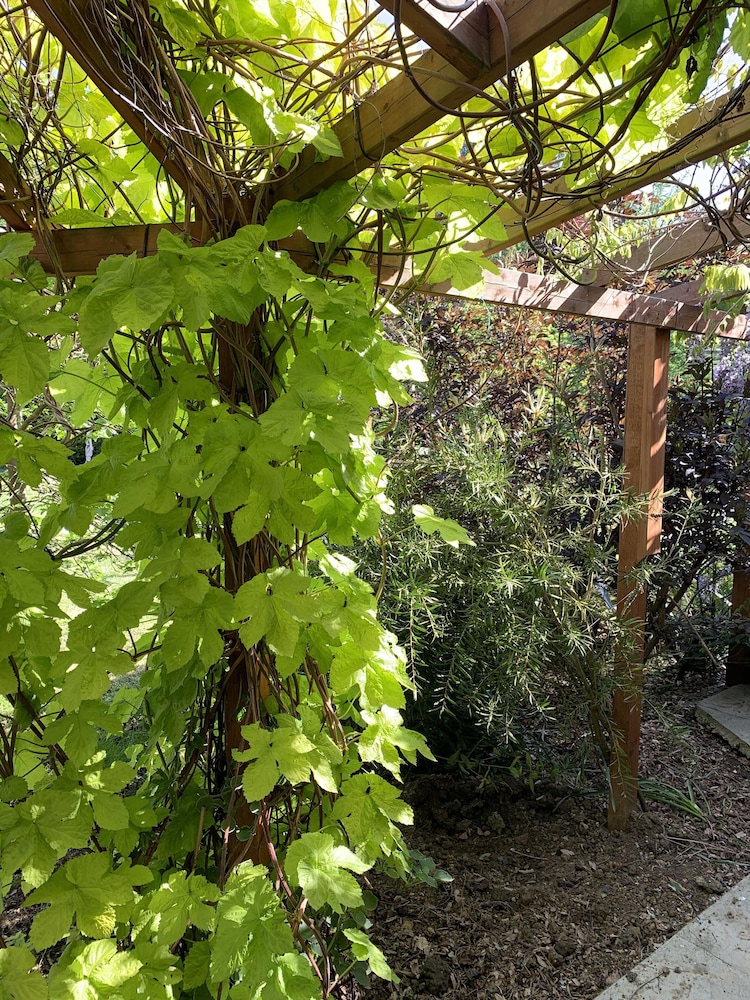 Woodpaddock B&B