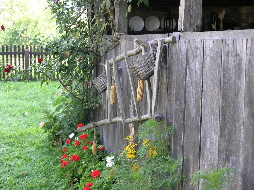 Photo 22