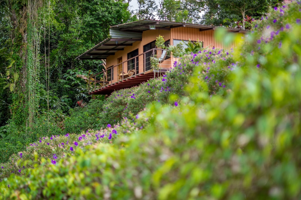 Nepenthe B&B