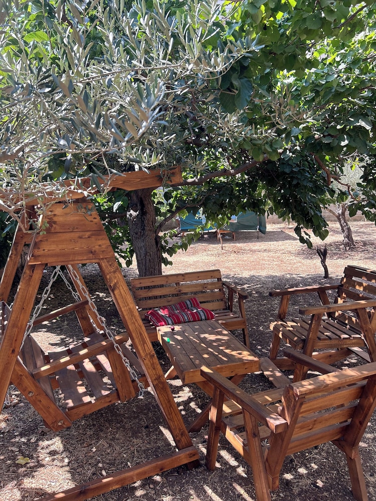 OliveTreeHostel, photo 52