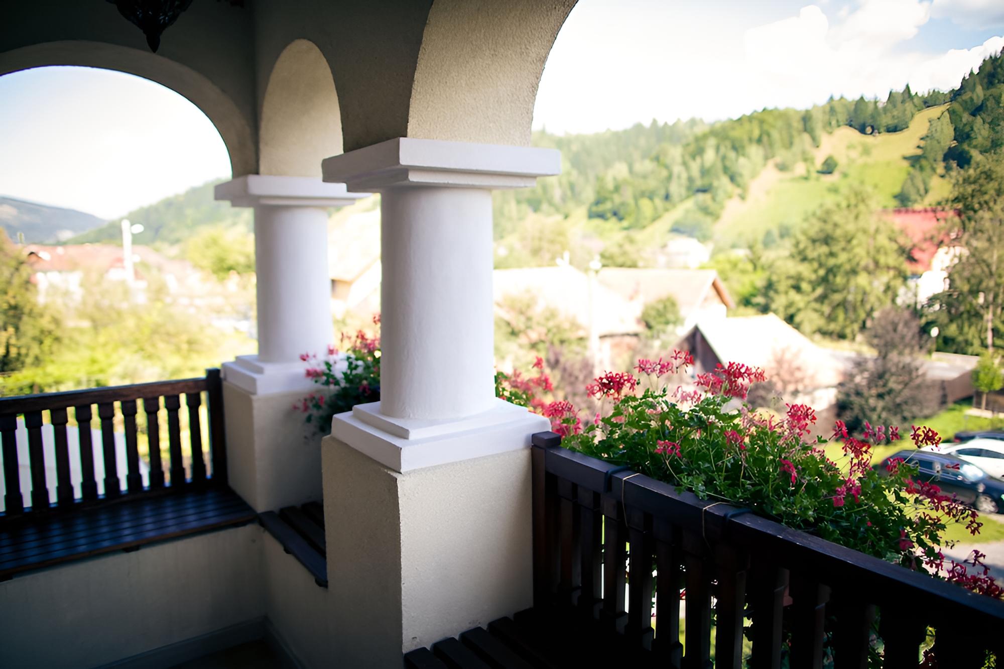 Hotel Turnul view 2