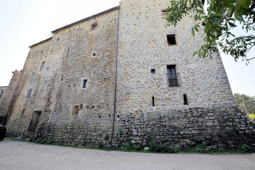 Photo 21