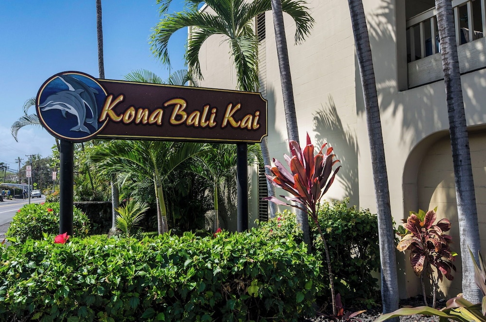 Ocean Front - Watch Dolphins From the Lanai - Wi-fi - Next to Beach- Vrkcv