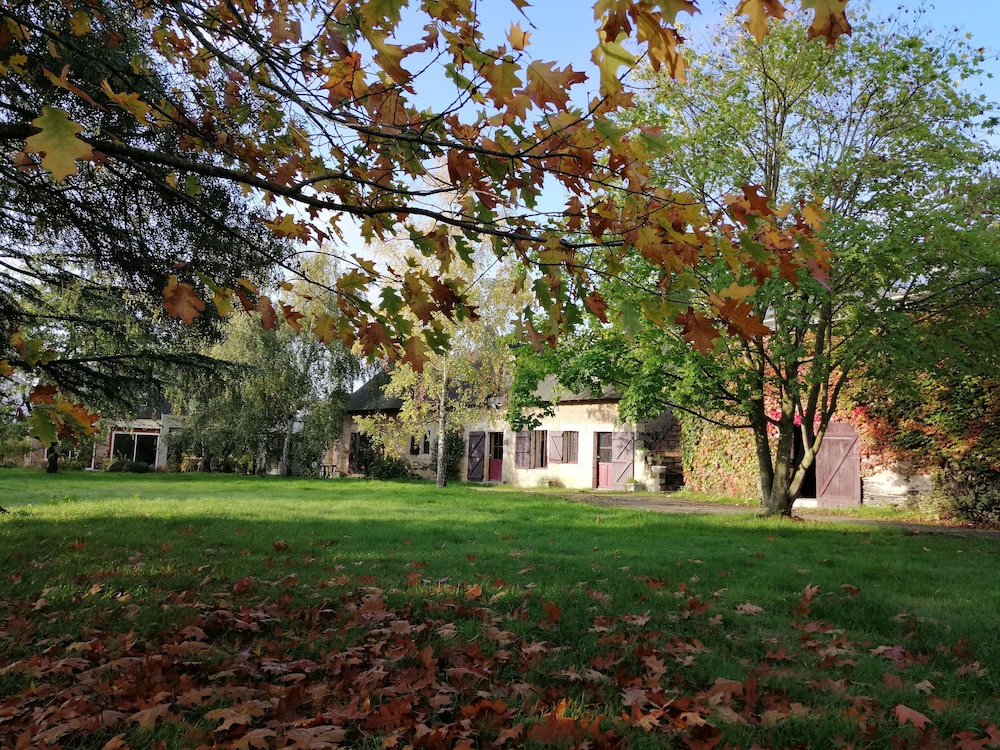 Photo 47