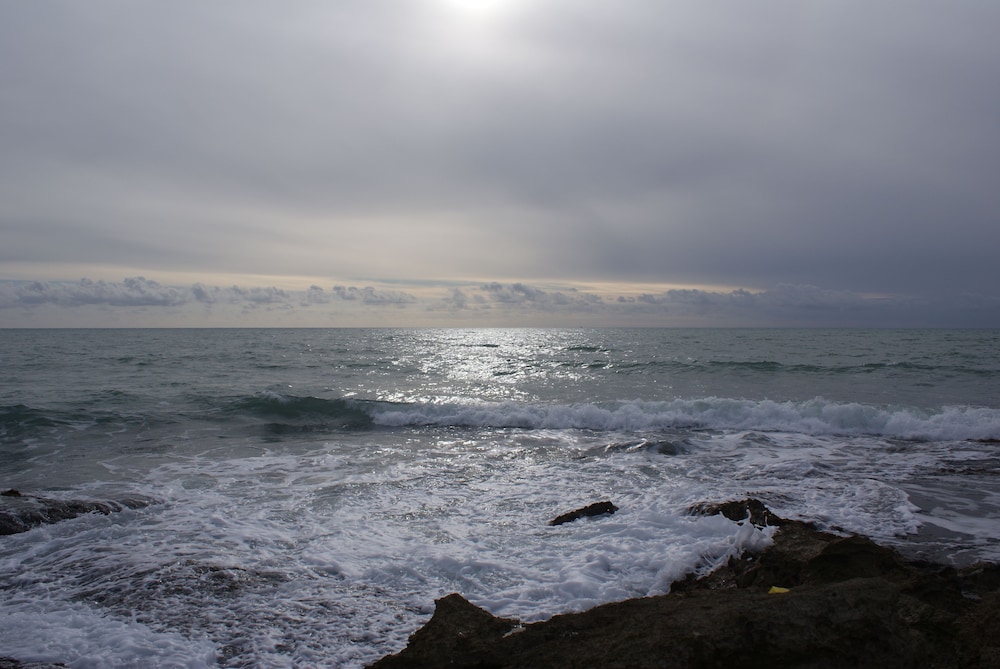Photo 51