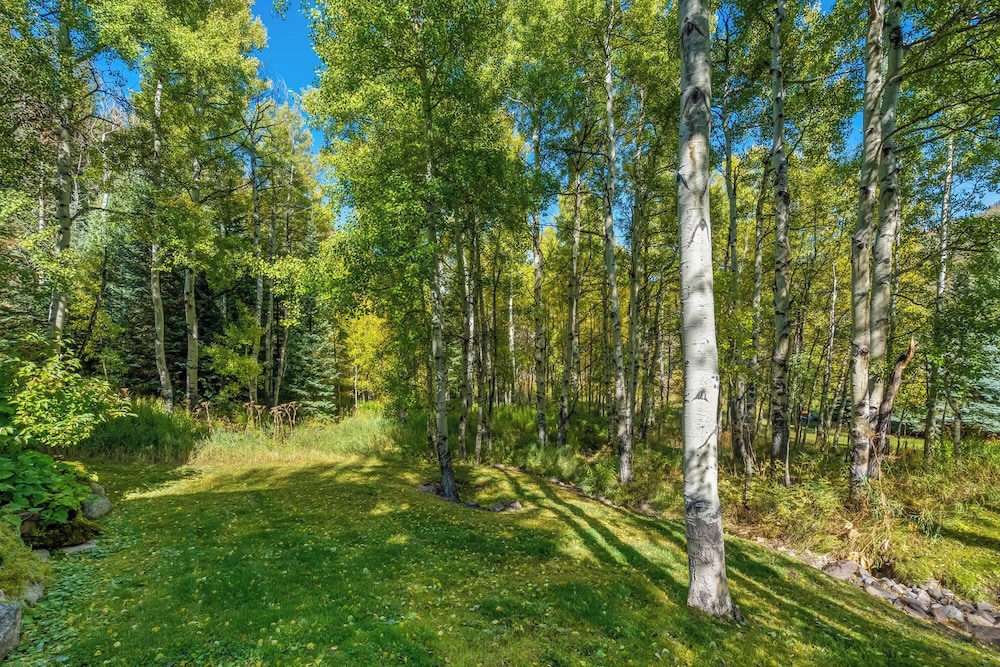 Evergreen Escape Home for 12