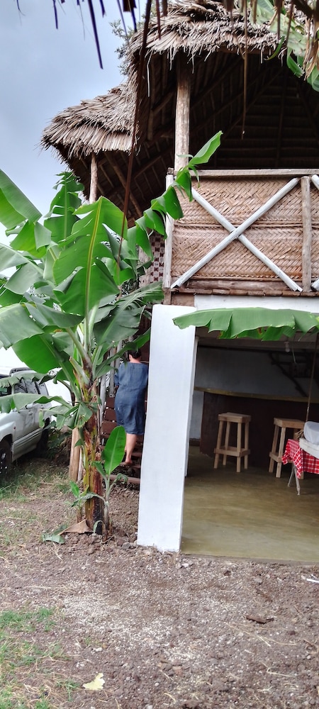 View Mountain House - Backpackers view 4
