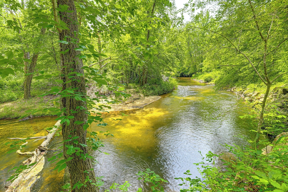 On-site Pond & Creek: Serene Cabin by Caesars Head