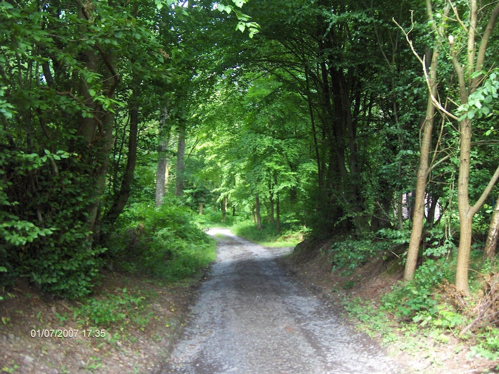 Ideal Cottage for Family & Friends Holiday - Calm in the Midst of Nature