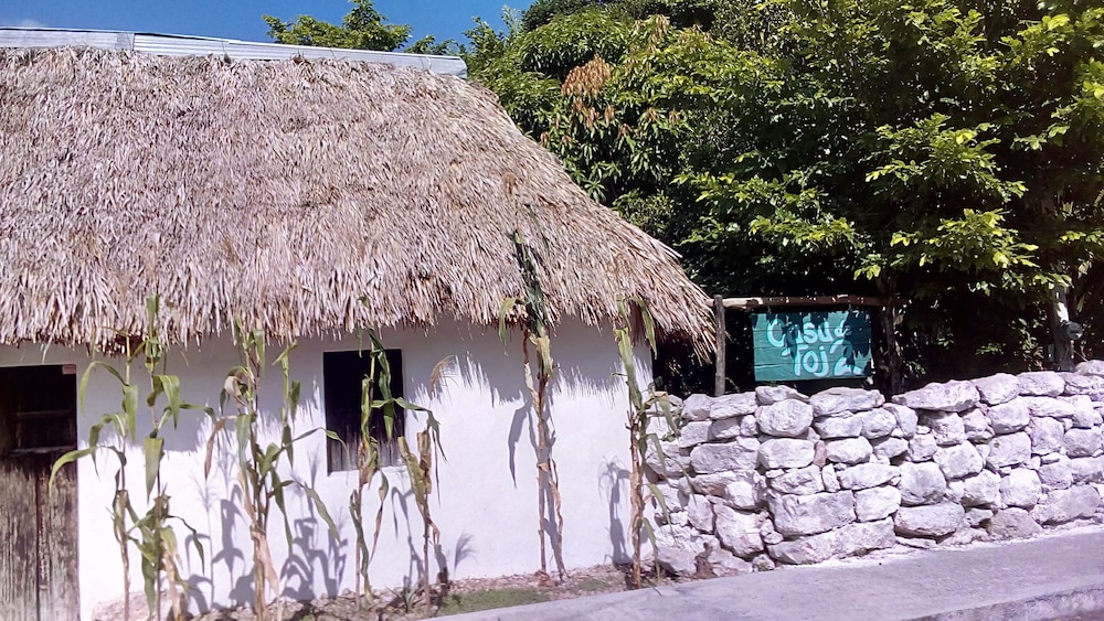 Photo 17