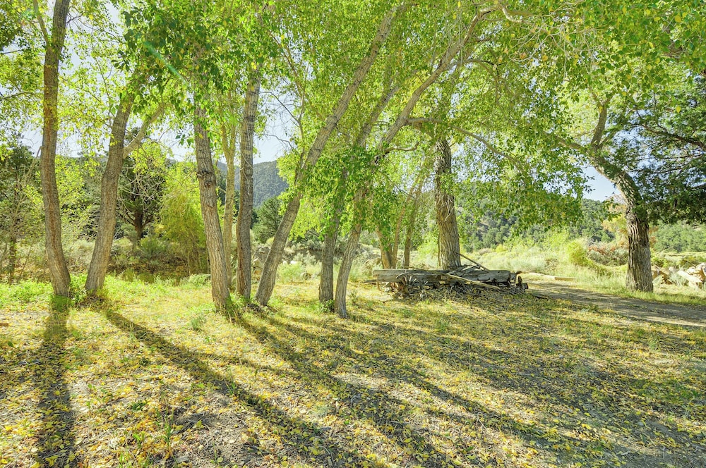 Bryce Canyon Basecamp: Historic Homesteader Cabin