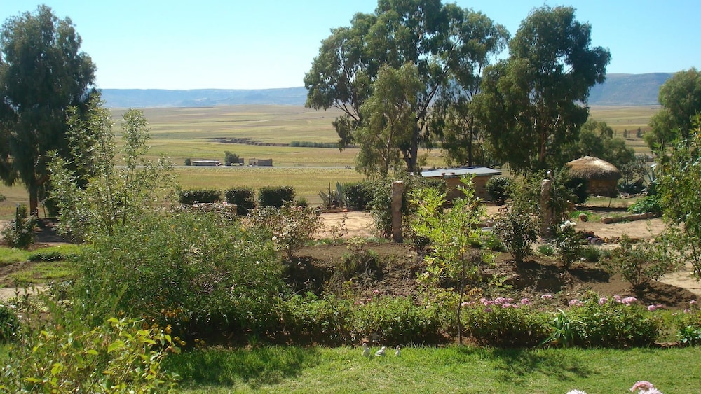 Photo 26